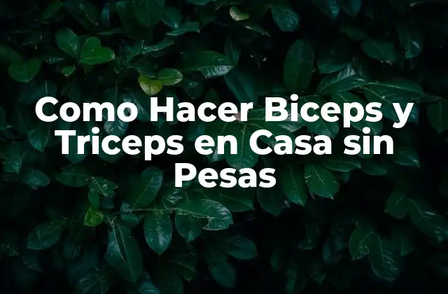 Como Hacer Biceps y Triceps en Casa sin Pesas