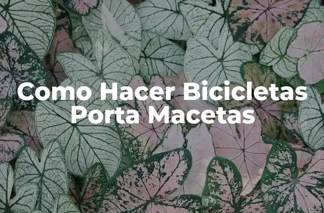 Como Hacer Bicicletas Porta Macetas