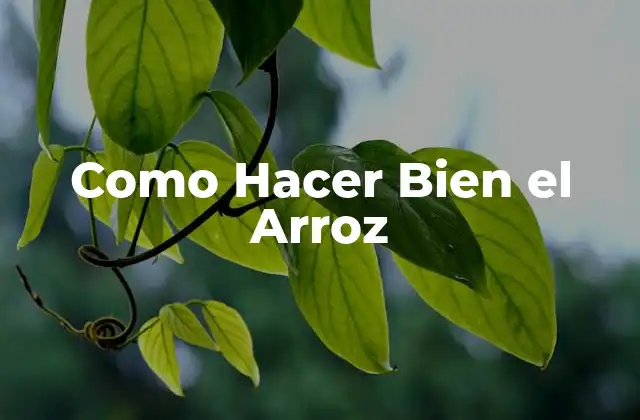 Como Hacer Bien el Arroz 2 ¿Qué es el Arroz?
