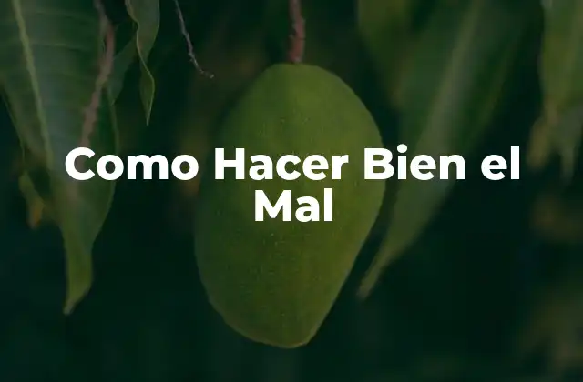 ¿Qué es Hacer Bien el Mal y para Qué Sirve?