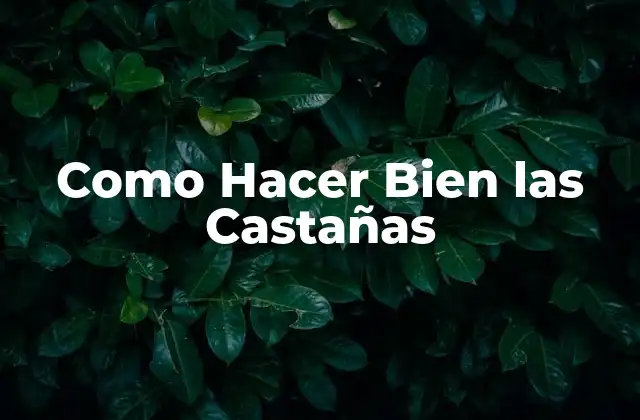 Como Hacer Bien las Castañas 2 ¿Qué son las Castañas y para Qué Sirven?