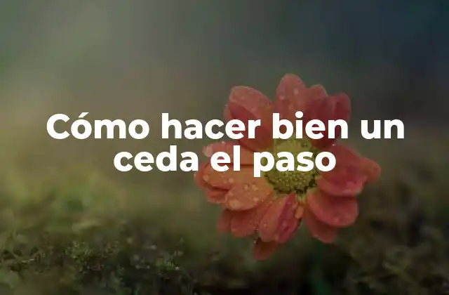 Cómo Hacer Bien un Ceda el Paso