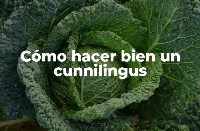 Cómo Hacer Bien un Cunnilingus