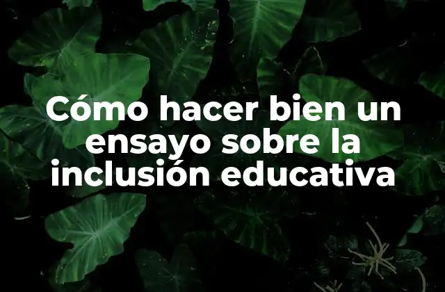 Cómo Hacer Bien un Ensayo sobre la Inclusión Educativa