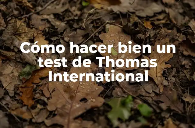 Cómo Hacer Bien un Test de Thomas International