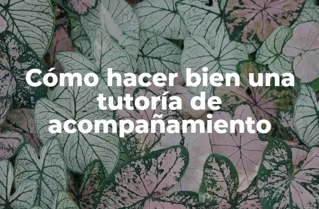 Cómo Hacer Bien una Tutoría de Acompañamiento
