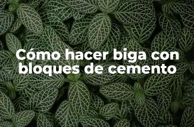 Cómo Hacer Biga con Bloques de Cemento 2 Qué es una biga con bloques de cemento y para qué sirve