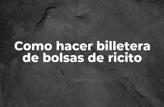 Como Hacer Billetera de Bolsas de Ricito