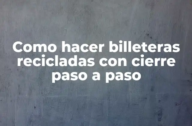 Como Hacer Billeteras Recicladas con Cierre Paso a Paso