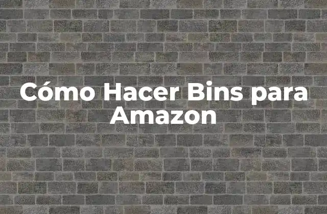 Cómo Hacer Bins para Amazon