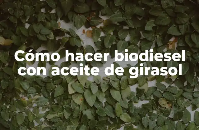 ¿Qué es el biodiesel y para qué sirve?