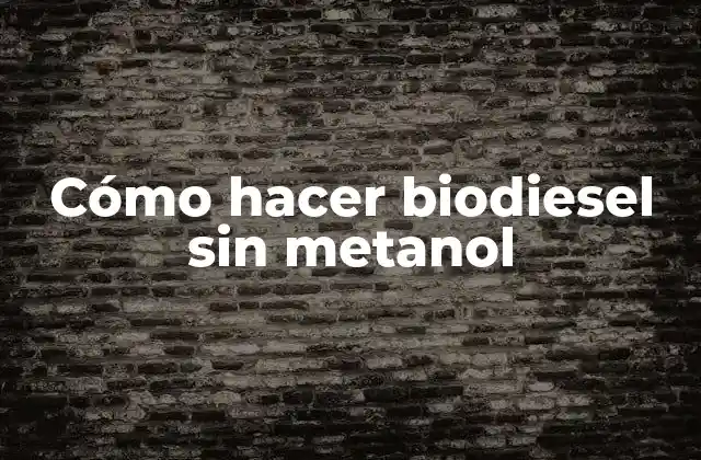Cómo Hacer Biodiesel sin Metanol 2 Biodiesel sin metanol: qué es y para qué sirve