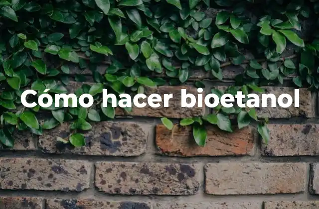 Cómo Hacer Bioetanol