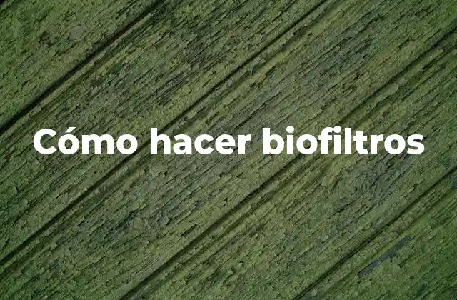Cómo Hacer Biofiltros