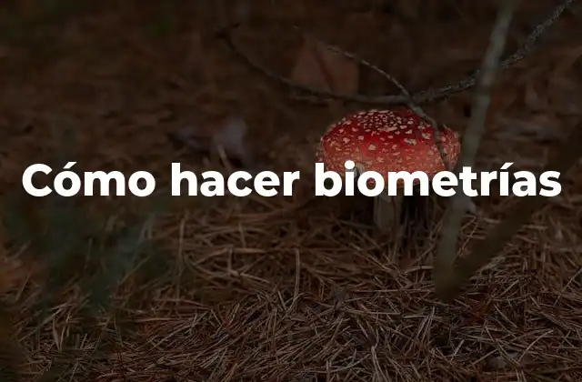 Cómo Hacer Biometrías