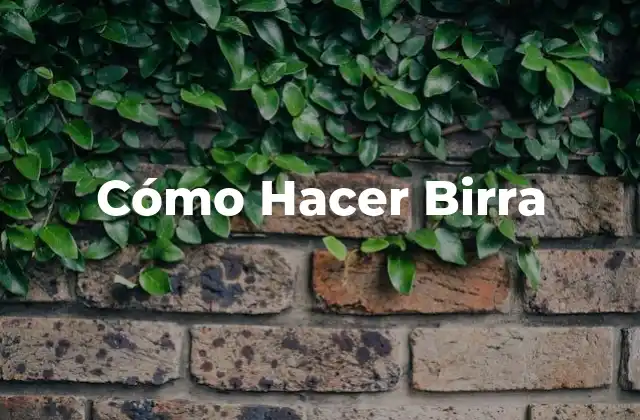 Cómo Hacer Birra 16 ¿Qué es la Birra y para qué Sirve?