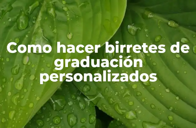 Como Hacer Birretes de Graduación Personalizados
