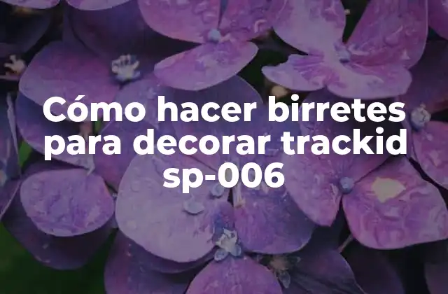 Cómo Hacer Birretes para Decorar Trackid Sp-006