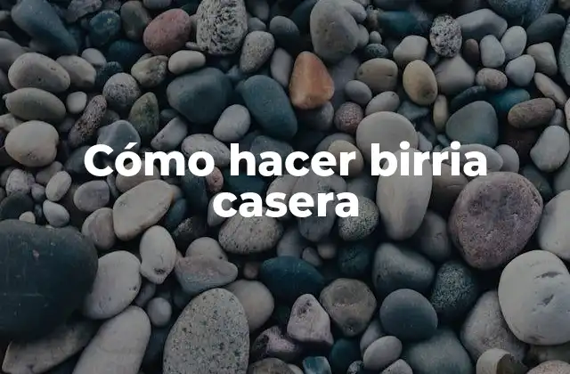 ¿Qué es birria casera y cómo se hace?