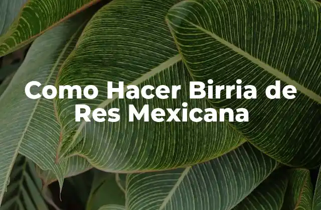 Como Hacer Birria de Res Mexicana