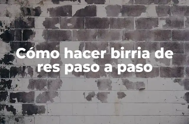 Cómo Hacer Birria de Res Paso a Paso