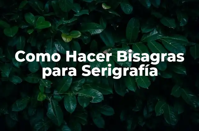 Como Hacer Bisagras para Serigrafía 2 ¿Qué son las Bisagras para Serigrafía?