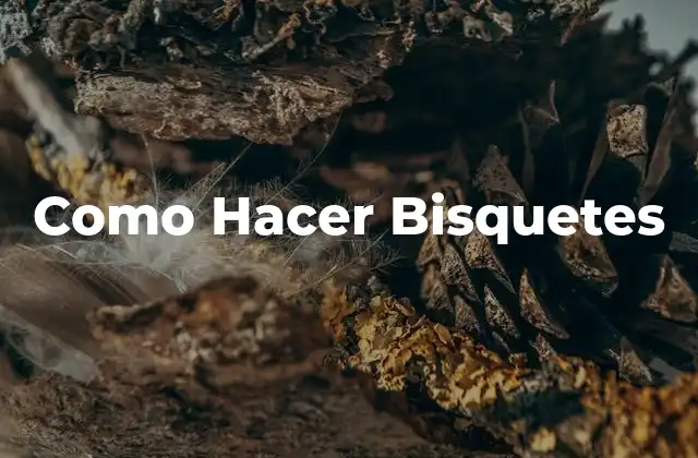 Como Hacer Bisquetes
