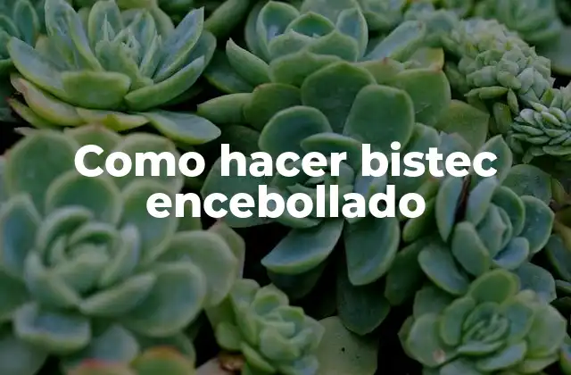 ¿Qué es un bistec encebollado?