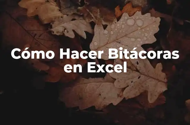 Cómo Hacer Bitácoras en Excel