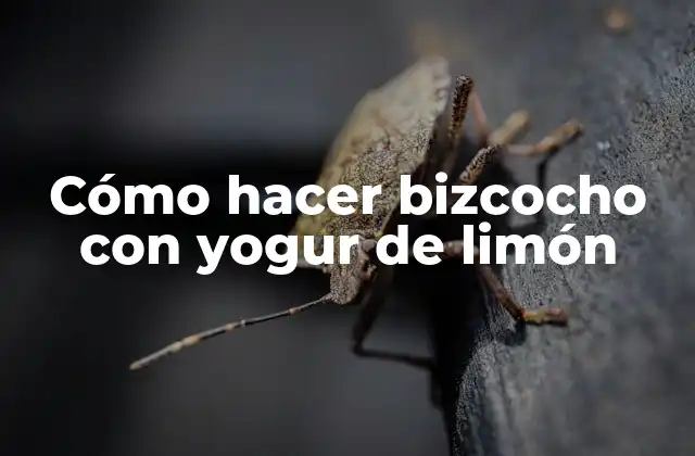 Cómo Hacer Bizcocho con Yogur de Limón