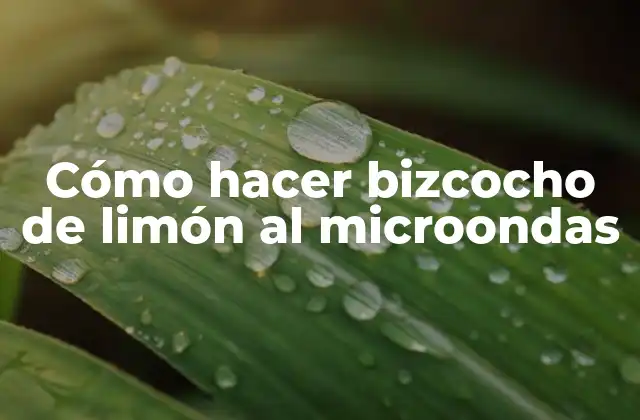 Cómo Hacer Bizcocho de Limón Al Microondas