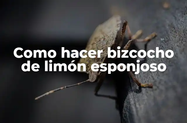 Como Hacer Bizcocho de Limón Esponjoso