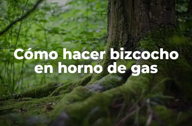 Cómo Hacer Bizcocho en Horno de Gas