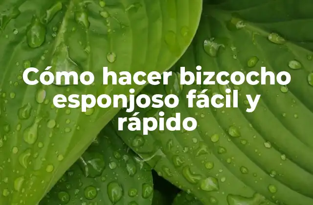 Cómo Hacer Bizcocho Esponjoso Fácil y Rápido