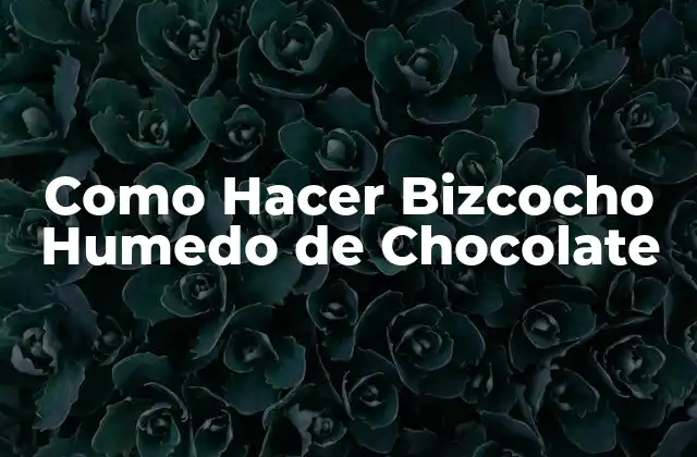 Como Hacer Bizcocho Humedo de Chocolate