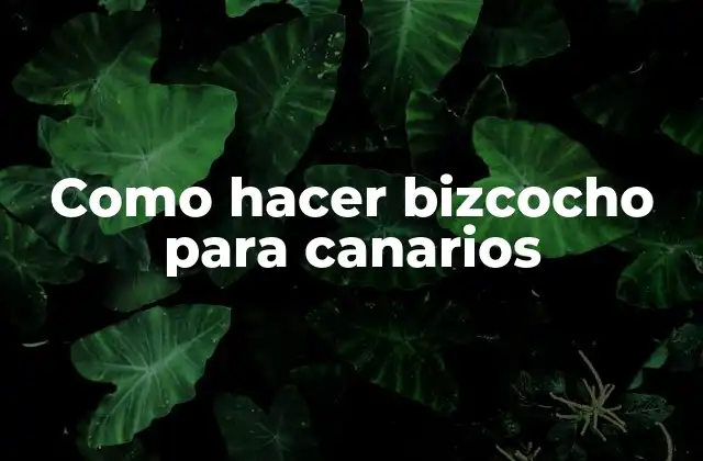 Como Hacer Bizcocho para Canarios