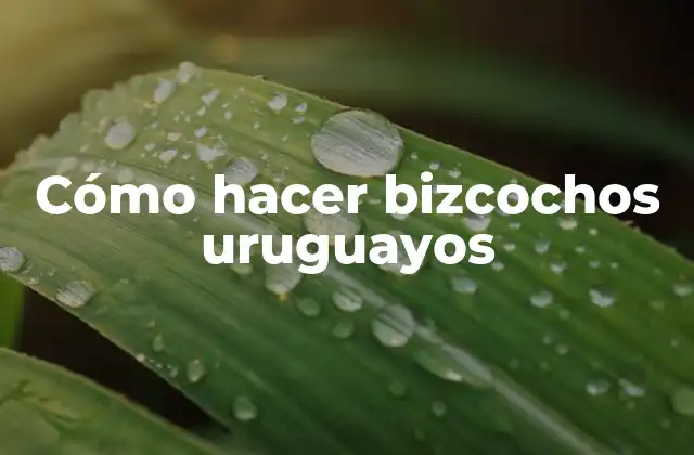 Cómo Hacer Bizcochos Uruguayos