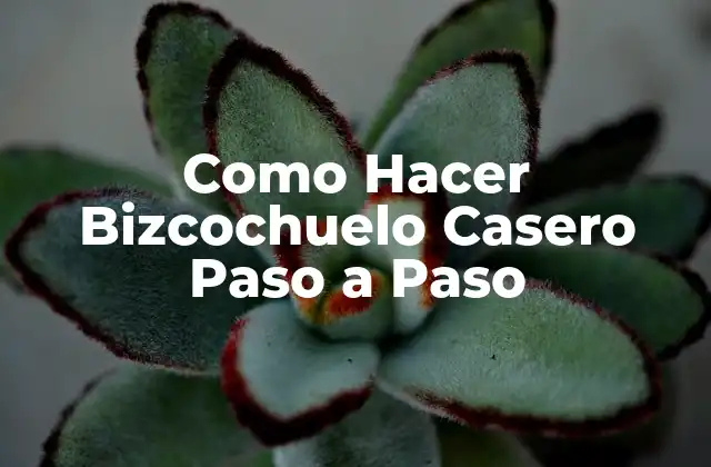 ¿Qué es un Bizcochuelo Casero y para qué Sirve?