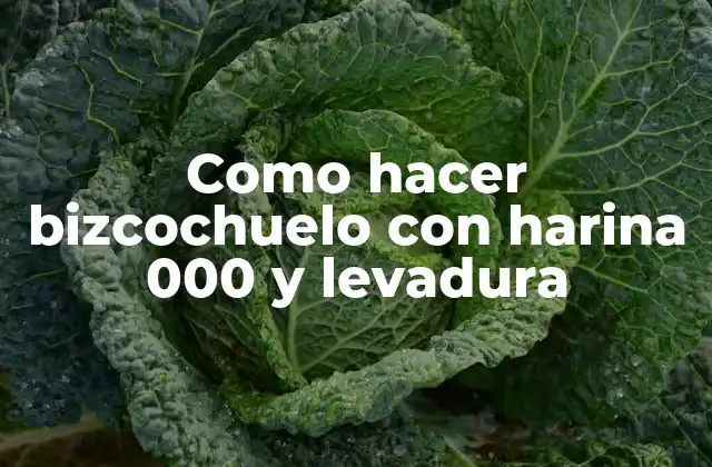 Como Hacer Bizcochuelo con Harina 000 y Levadura