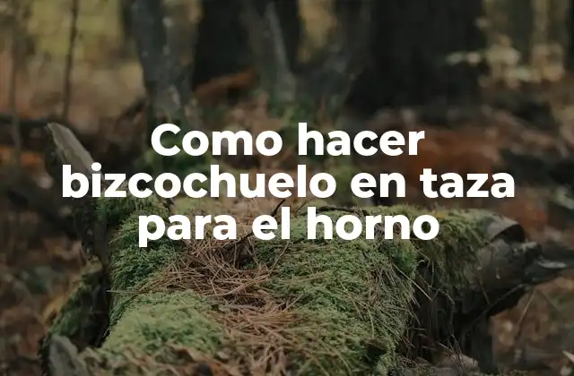 Como Hacer Bizcochuelo en Taza para el Horno