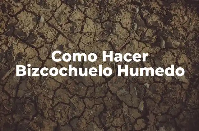 Como Hacer Bizcochuelo Humedo