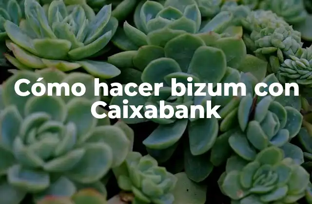 Cómo Hacer Bizum con Caixabank