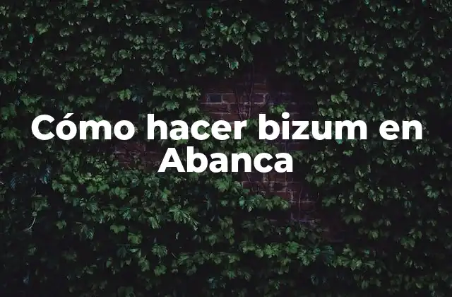Cómo Hacer Bizum en Abanca