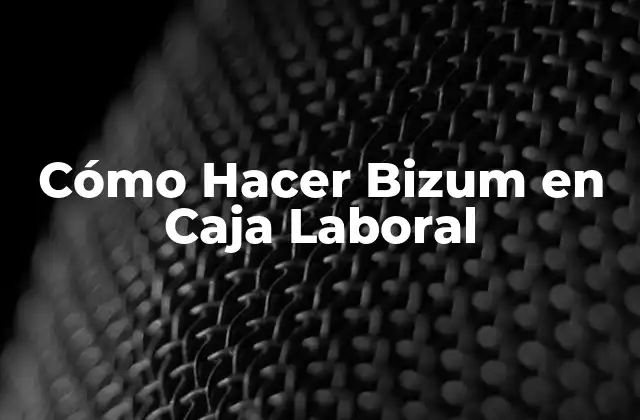 Cómo Hacer Bizum en Caja Laboral