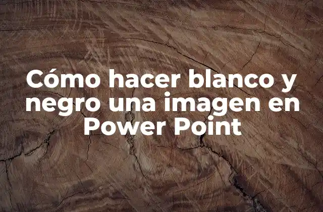Cómo Hacer Blanco y Negro una Imagen en Power Point