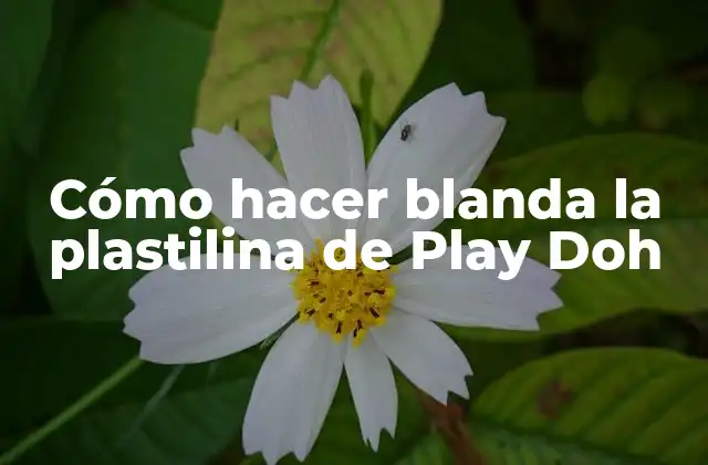 Cómo Hacer Blanda la Plastilina de Play Doh