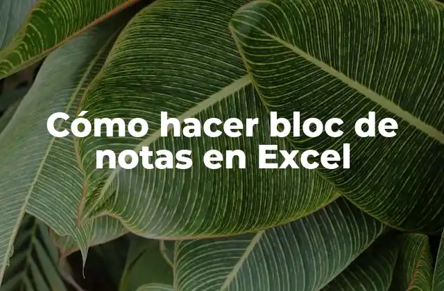 Cómo Hacer Bloc de Notas en Excel