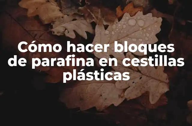 Cómo Hacer Bloques de Parafina en Cestillas Plásticas