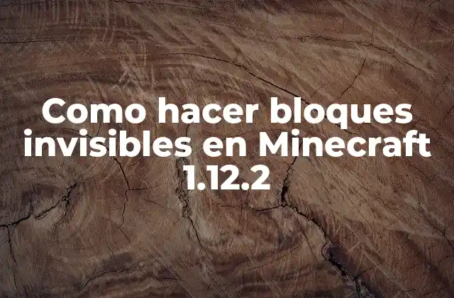 Como Hacer Bloques Invisibles en Minecraft 1.12.2