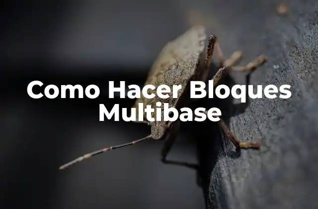 Como Hacer Bloques Multibase